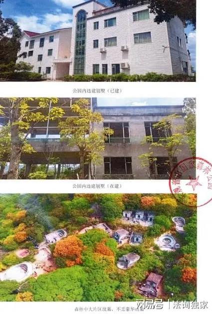 东莞四单位屡被网络曝光,竟上了光荣榜