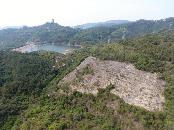 东莞市长吕成蹊用心用情解决急难愁盼问题 那观音山公园多次诉求