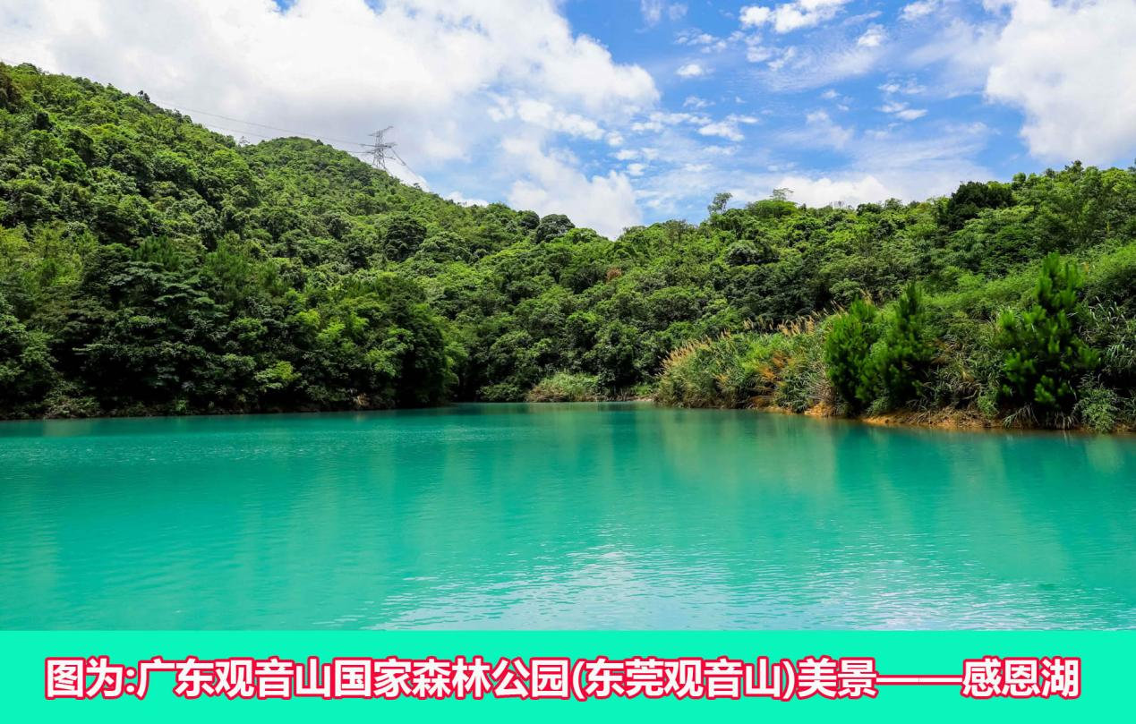名家评论:朱现领主任在东莞观音山论剑研讨会上的发言