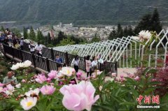 �봨��������ӳ��ʮ��֮�䣺������η���δ��